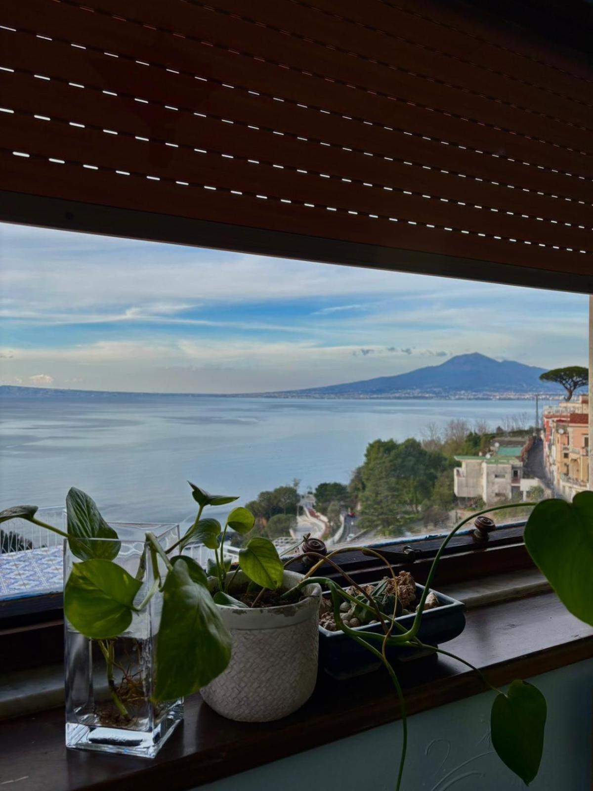 The Dreamer'S Terrace Vico Equense Luaran gambar